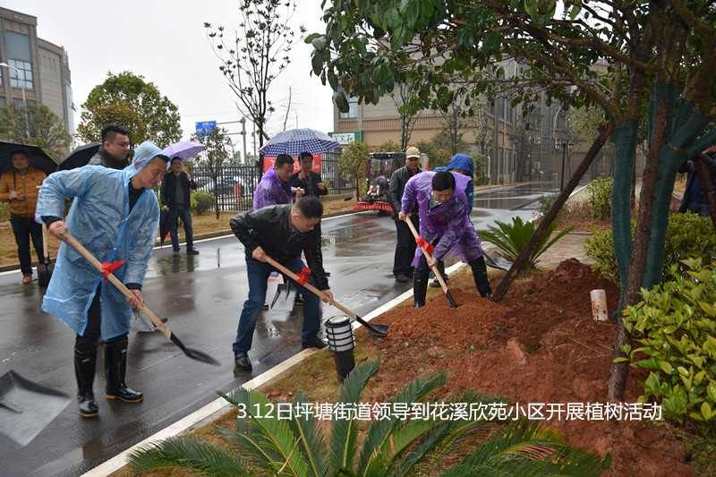 花溪欣苑小區植樹節新聞稿