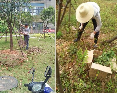 長(cháng)沙富佳物業管理有限公司,紅大物業,長(cháng)沙物業管理,長(cháng)沙物業管理服務